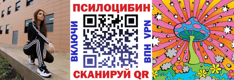 Псилоцибиновые грибы мицелий  Новочеркасск 
